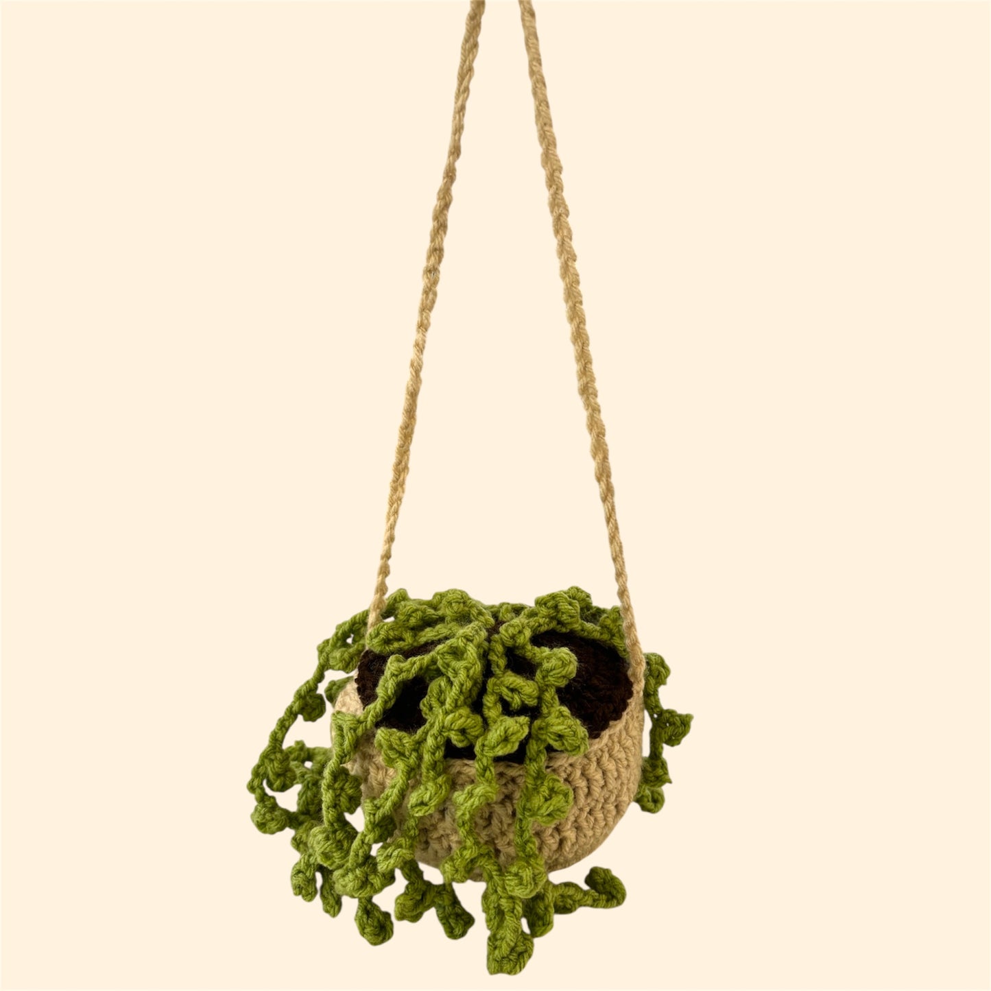 Pearl Hanging Plant (Medium)